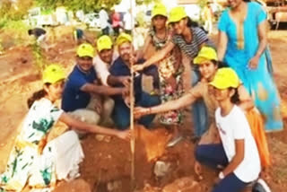 tree-planting