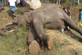 Elephant death near kudiyatham