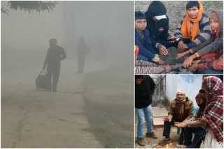 Cold in Jharkhand, Meteorological Department Ranchi, New Year 2020, rain in Jharkhand, झारखंड में ठंड, मौसम विभाग रांची, नव वर्ष 2020, झारखंड में बारिश