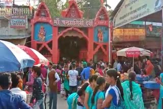 Crowds of devotees gathered to see maa Chandrahasini in janjgir champa