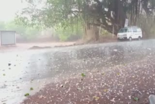 unseasonable rain in nagpur today