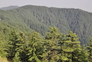 Himachal leads in environment conservation in the country