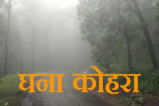 weather report of bilaspur