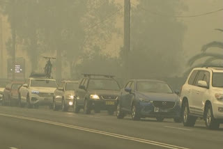 Australia wildfires queues