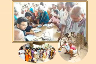 Pensions problems in payakaraopeta at visakhapatnam district