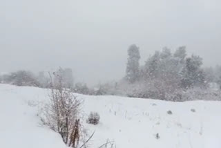 Snowfall in Chamoli