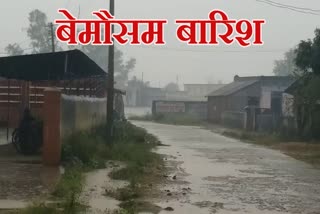 Unusual rain in Mungeli district disrupts life