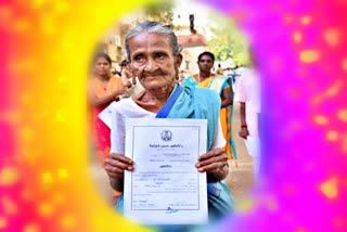 79 years old lady won in Local body elections, madurai old lady won, ஊராட்சி மன்ற தலைவர் வீரம்மாள், madurai veerammal, மதுரை மேலூர் வீரம்மாள்