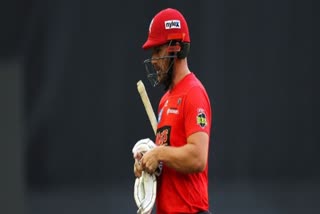 melbourne-renegades-