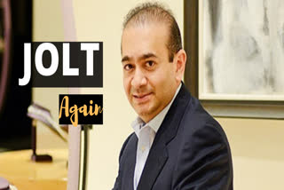 UK court further remands Nirav Modi to appear on January 30