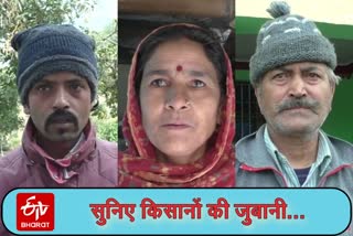 धरेड़ पंचायत के किसानों की न्यूज, News of farmers of Dared Panchayat
