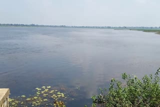 Water will be released in canals for rabi crop in janjgir champa