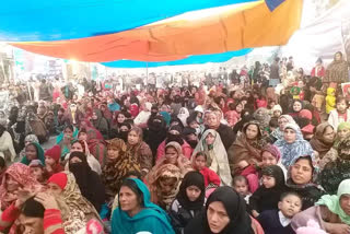 shaheen bagh protest