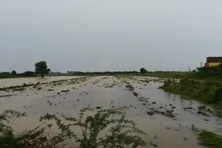 heavy sudden rain in prakasam dst