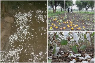 rain, thunderstorms amravati