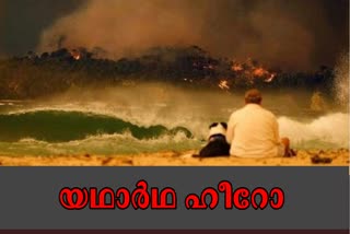 David Warner news  cricket australia news  bushfire crisis news  കാട്ടുതീ വാർത്ത  ഡേവിഡ് വാർണർ വാർത്ത  ക്രിക്കറ്റ് ഓസ്‌ട്രേലിയ വാർത്ത