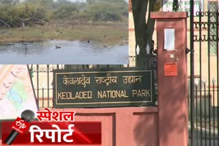 केवलादेव नेशनल पार्क में  ई-रिक्शा,  keoladeo national park