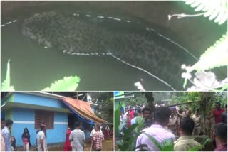 പുലി കിണറ്റില്‍  വൈത്തിരി  പുലി  found tiger in well  found leopard in well  vythiri leopard  wayanad