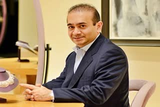 Nirav Modi