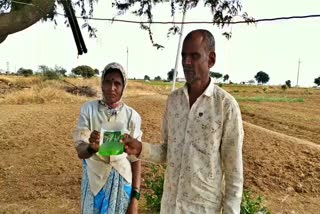 Poor seed problem for Kalburgi farmers