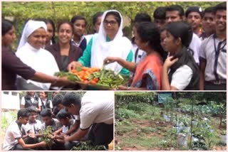 organic vegetable farming  shobana english medium high school  ജൈവ പച്ചക്കറി കൃഷി  ശോഭന ഇംഗ്ലീഷ് മീഡിയം ഹൈസ്കൂള്‍  കോതമംഗലം - പച്ചക്കറി വികസന പദ്ധതി  എറണാകുളം പ്രാദേശിക വാര്‍ത്തകള്‍