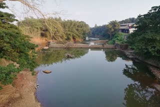 vadapuram region was in severe drought  lood-damaged checkdam was not rebuilt  പ്രളയത്തിൽ തകർന്ന ചെക്ക്ഡാം പുനർനിർമ്മിച്ചില്ല  വടപുറം മേഖല കടുത്ത വരൾച്ചയിൽ