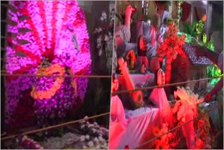 ಹುಕ್ಕೇರಿಮಠದ ಜಾತ್ರಾ ಮಹೋತ್ಸವ ಫಲಪುಷ್ಪ ಪ್ರದರ್ಶನ, Flower show in hukkeri matt fair