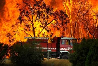 austrelian-cricketer-donate-for-every-six-they-hit-during-bbl-to-bushfire-appeal