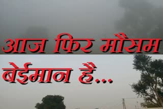 weather update news in rajasthan