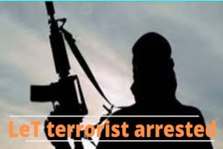 LeT terrorist arrested  terrorist arrested in Srinagar  ലഷ്‌കര്‍ ഇ തൊയ്ബ ഭീകരന്‍ ലഷ്‌കര്‍ ഇ തൊയ്ബ ഭീകരന്‍ പിടിയില്‍  ലഷ്‌കര്‍ ഇ തൊയ്ബ  ജമ്മു കശ്‌മീര്‍