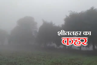 massive cold in hoshangabad