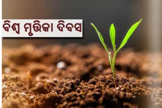 World Soil Day