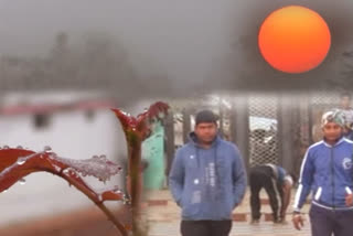 severe-cold-wave-in-odisha-life-affected-in-subarnapur