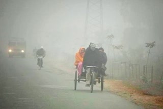 weather forecast of odisha