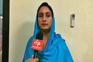 harshimrat kaur badal on nankana sahib vandalism incident