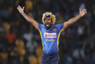 lasith malinga