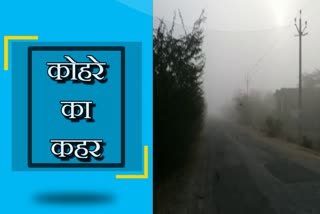 भीलवाड़ा में कोहरा, fog in bhilwara district, कोहरे के कारण बढ़ी ठंड, भीलवाड़ा चित्तौड़ राष्ट्रीय राजमार्ग