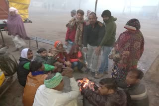 People are troubled by dense fog and cold in susner aagar