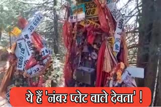 Number plate devta vansheera, नंबर प्लेट देवता वनशीरा