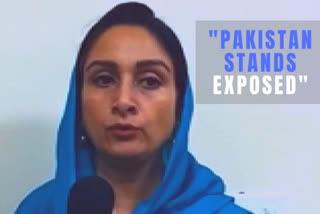 Pakistan is a terrorist state: Harsimrat Kaur Badal