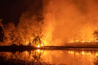 Australia Is Committing Climate Suicide