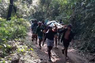 കാട്ടാന അക്രമണം മരണം  ശബരിമല തീർഥാടകൻ കൊല്ലപ്പെട്ടു  ശബരിമല വാർത്ത  sabarimala pilgrim died  sabarimala news  wild elephant attack