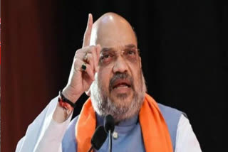 amit shah reaction on caa supporting tollfree number viral