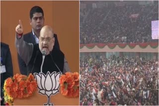 Rahul, Priyanka Gandhi misleading people over CAA: Shah