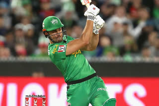 bbl-9-all-rounder-marcus-stoinis-fined-for-homophobic-abuse
