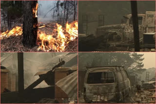 Wingello resident John Harland walking past damage