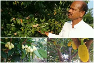 Yadagiri model farmer