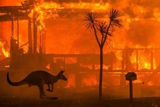 Australia bushfire