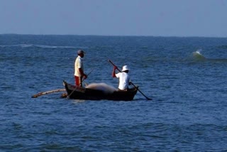 pakistan to hand over 20 indian fisherman