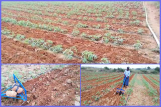 farmer problems at kadapa district